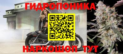 mix Кунгур