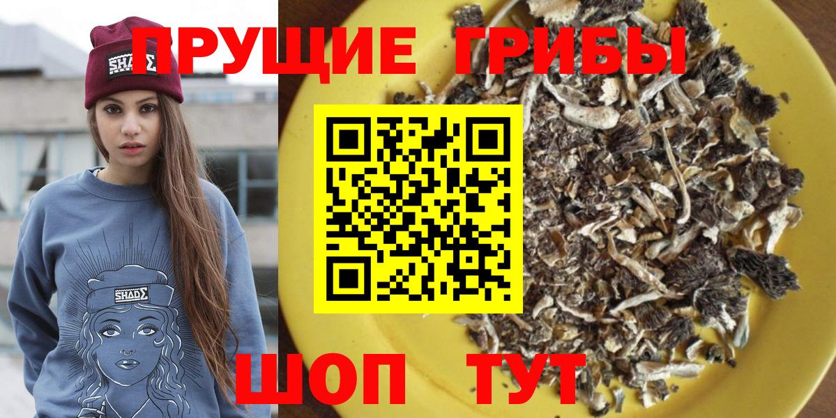 Псилоцибиновые грибы прущие грибы Каменка