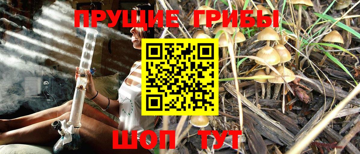 Псилоцибиновые грибы Magic Shrooms  Псилоцибиновые грибы MAGIC MUSHROOMS  Каменка  Вход с VPN 